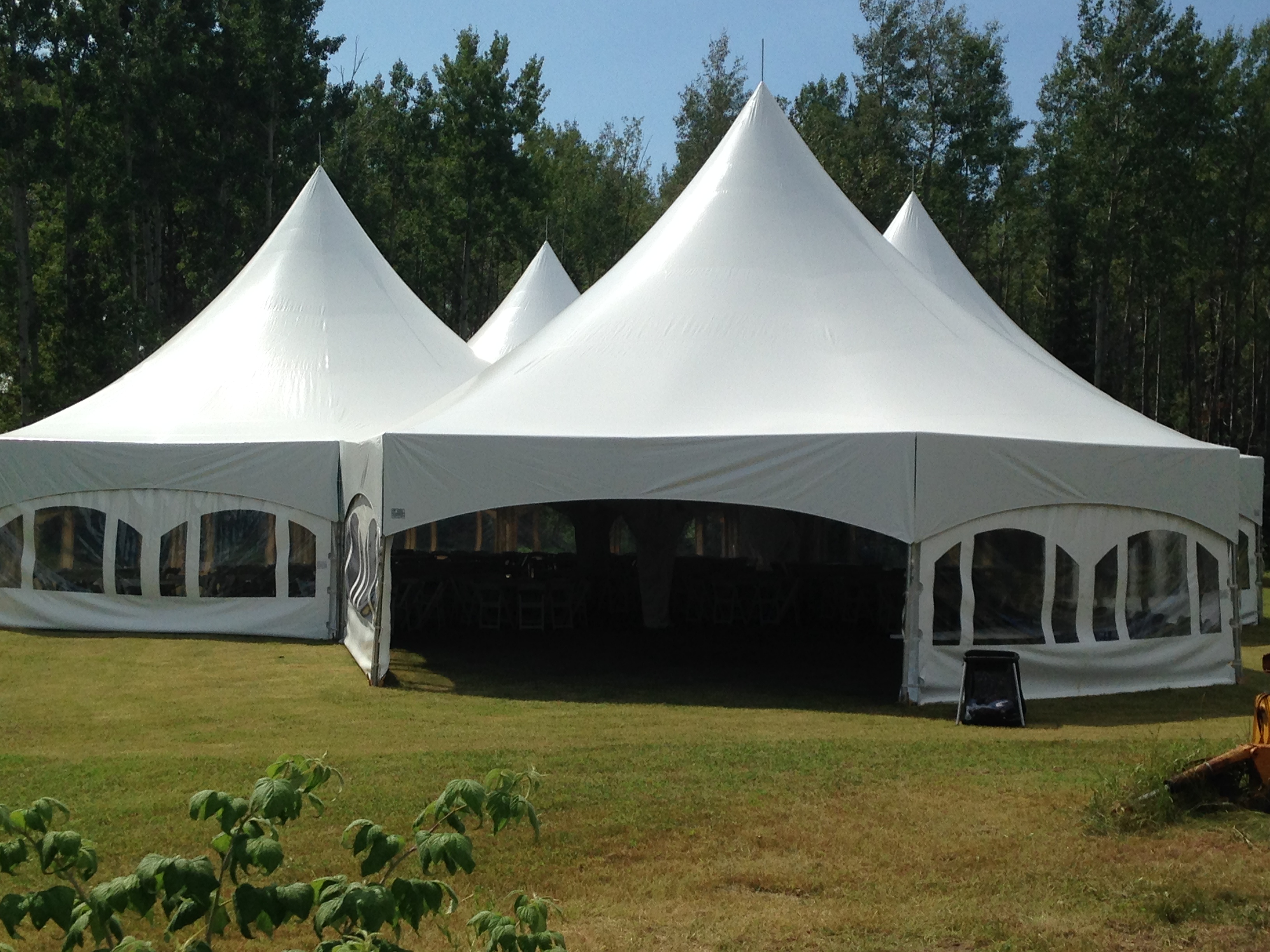4-hex-tents-together.jpg
